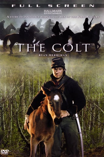 The Colt 2005