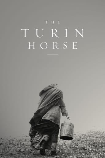 دانلود فیلم The Turin Horse 2011 (اسبی از تورین) دوبله فارسی بدون سانسور