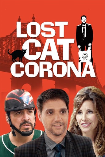 Lost Cat Corona 2017 (گربه گمشده کرونا)