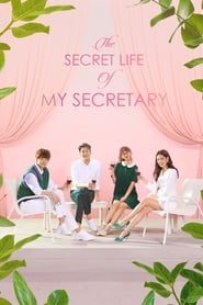The Secret Life of My Secretary 2019 (زندگی اسرارآمیز منشی من)