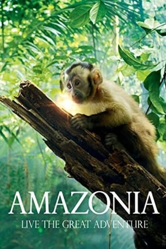 Amazonia 2013 (آمازون)