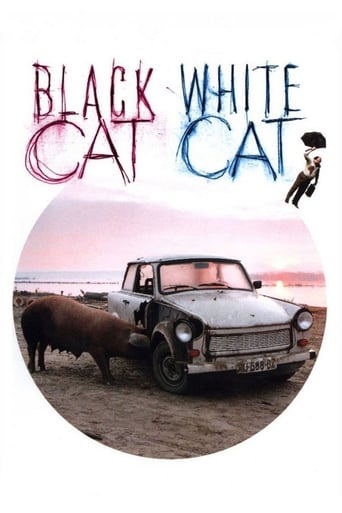دانلود فیلم Black Cat, White Cat 1998 (گربه سیاه, گربه سفید) دوبله فارسی بدون سانسور