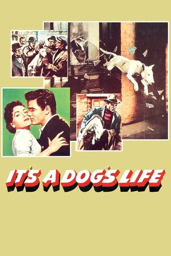 دانلود فیلم It's a Dog's Life 1955 دوبله فارسی بدون سانسور