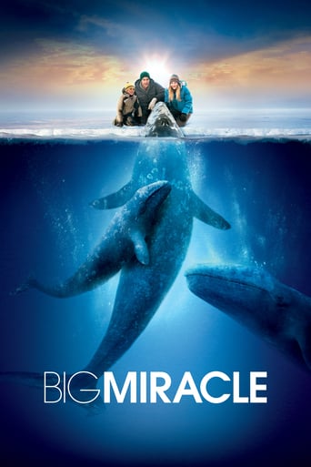 Big Miracle 2012 (معجزه بزرگ)