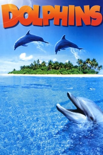 Dolphins 2000