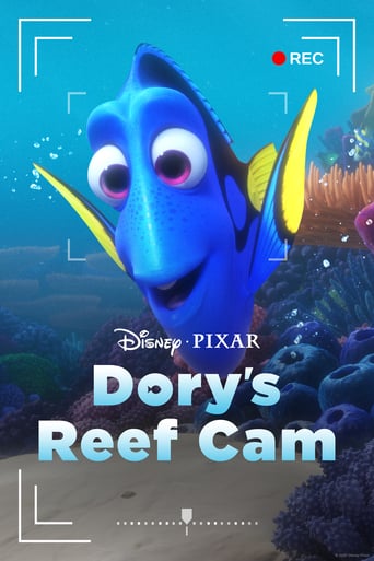 Dory's Reef Cam 2020