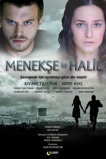 Menekse and Halil 2007