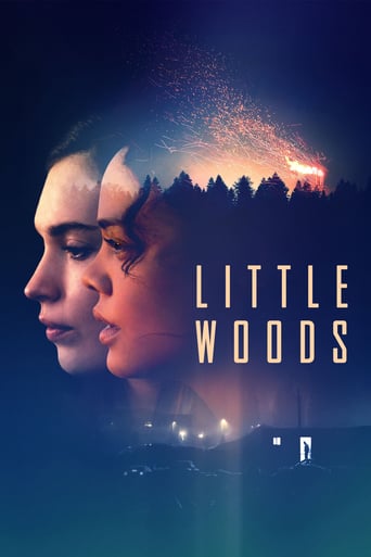 Little Woods 2018 (جنگل کوچک)