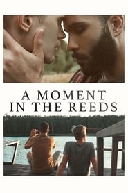 دانلود فیلم A Moment in the Reeds 2017 دوبله فارسی بدون سانسور