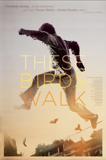 These Birds Walk 2012
