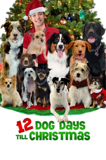 دانلود فیلم 12 Dog Days Till Christmas 2014 دوبله فارسی بدون سانسور