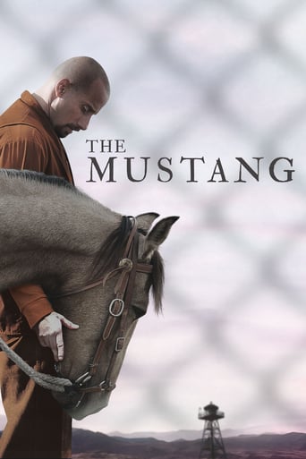 The Mustang 2019 (موستانگ)