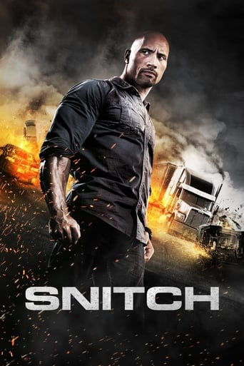 Snitch 2013 (خبرچین)